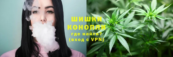 молекула духа Арсеньев