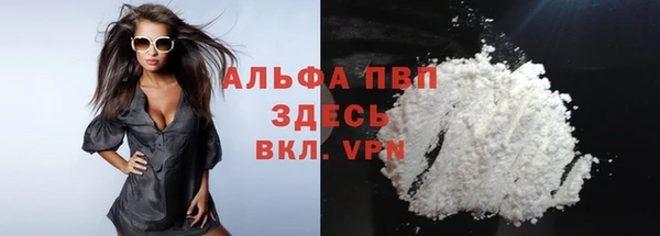 молекула духа Арсеньев