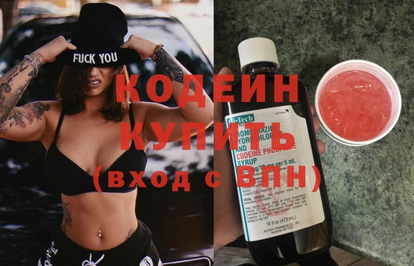 шишки Покачи