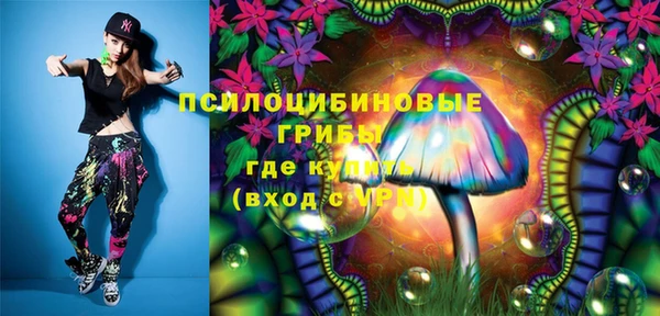 молекула духа Арсеньев