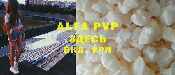 молекула духа Арсеньев